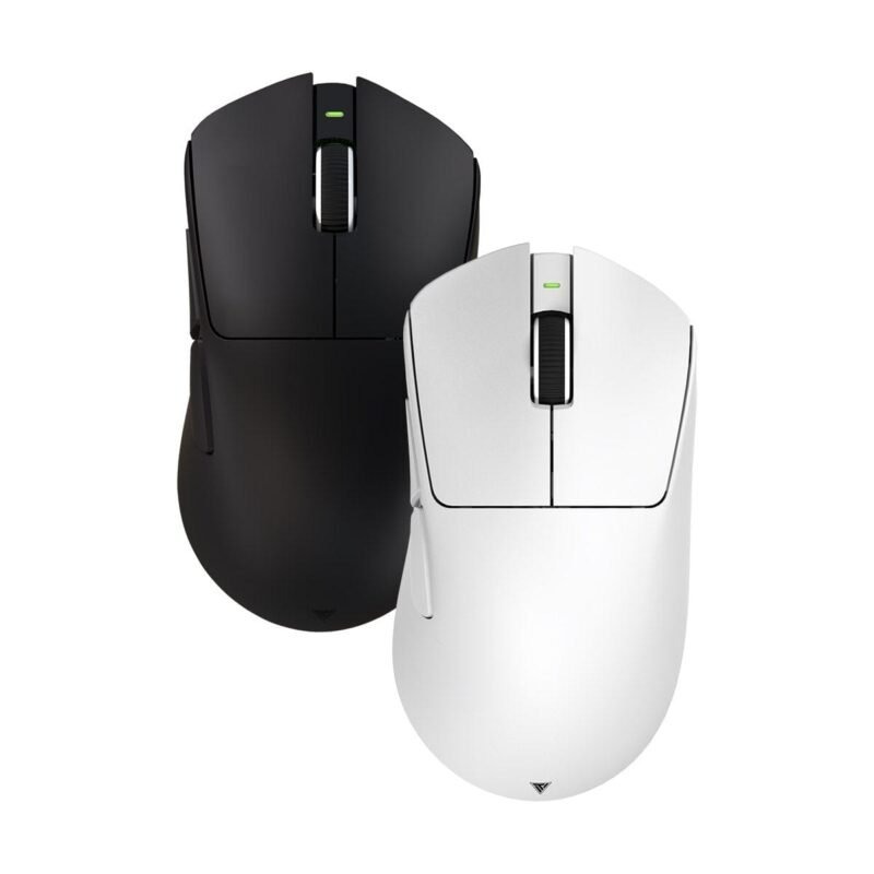 Teevolution Terra Pro – Chuột công thái học